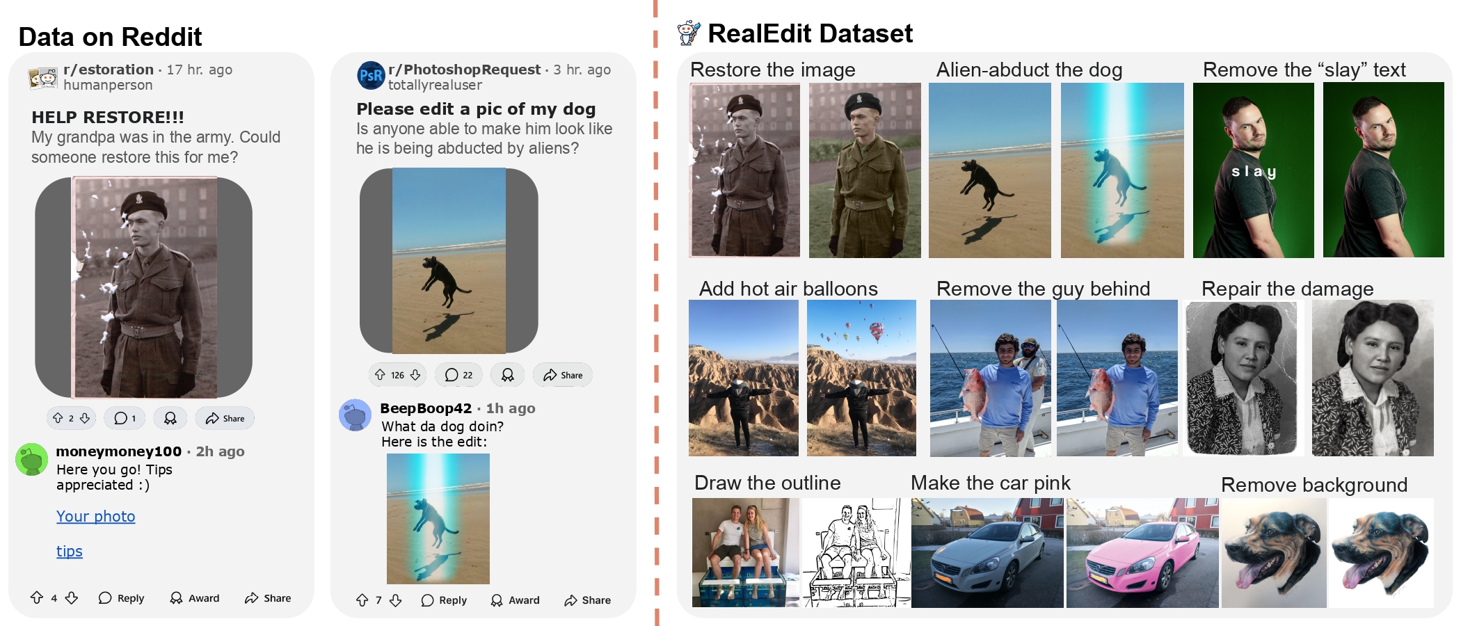 Overview of the REALEDIT dataset